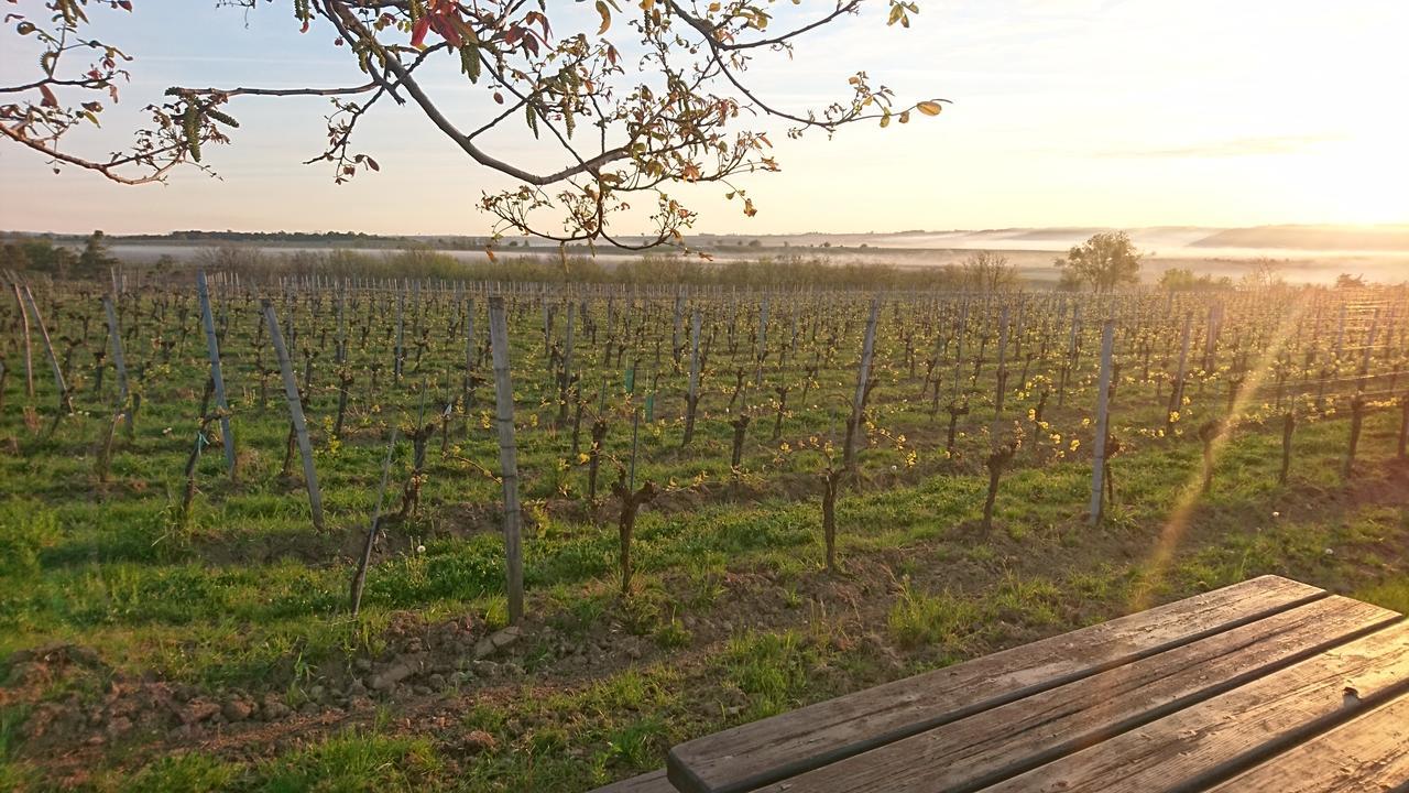 Weingut Familie Bauer Hotel Grossriedenthal Екстериор снимка
